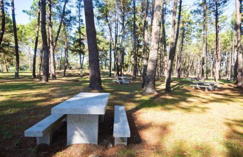 AG Apartamentos A Fiestra Playa de Boiro - Foto 22