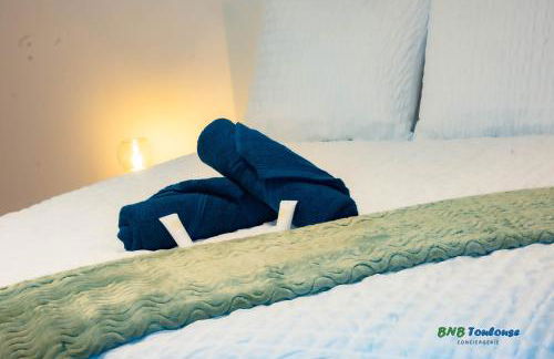 ORBIS - "Le Gaston douillet" - Clim - WiFi - Plein centre - Cour intérieure - Photo 16