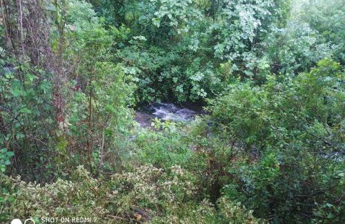 Alojamientos Sierra de Cádiz Benamahoma - Foto 35
