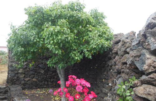 Casa Rural Aborigen Bimbache - Foto 43