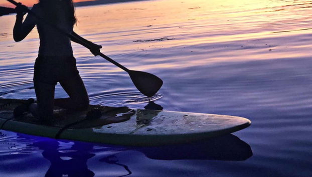 Durante l'esperienza di paddle surf