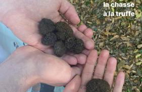 Gîte la Borie du bois Sarlat - Foto 23