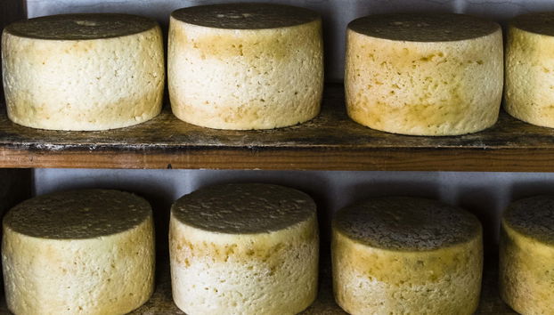 Degustación de sidra y quesos en Cuevas del Agua