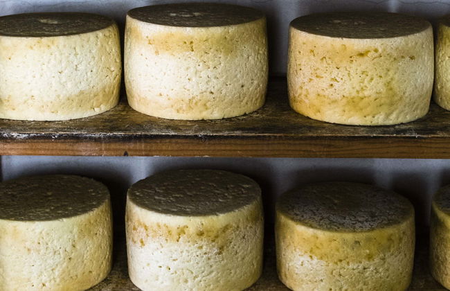 Degustación de sidra y quesos en Cuevas del Agua - Foto 5