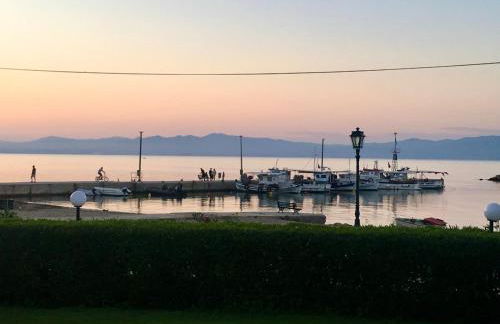 Seashell by halu! - Foto 68