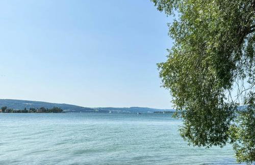 Über der alten Gärtnerei - Foto 27