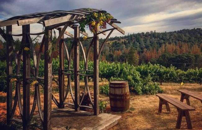 Papillon Cellars - Foto 15