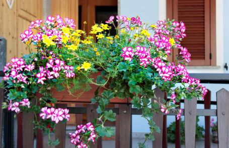 Casa Barbóla - Photo 30