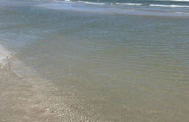 Galveston Beach House with Water Views - Foto 38