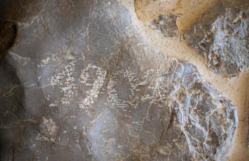 Festina Lente Heritage Villa Krk - Heated pool - Foto 72