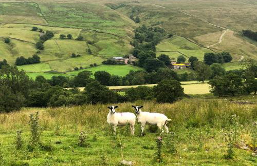 Coverdale cottage - Photo 58