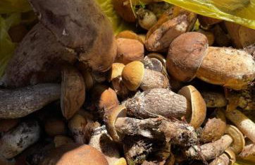 Domek pod Dębami Bogaczewo - Foto 56