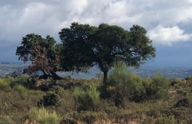 3 Marias São Sebastião - Foto 32