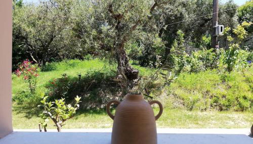 Nissi Collection Rooms - Foto 5