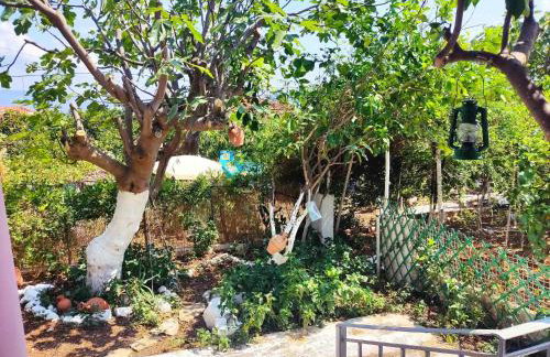 Nona's home - Foto 17