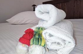 Peaceful Villa Ida&Mirko in nature with private pool - Foto 27