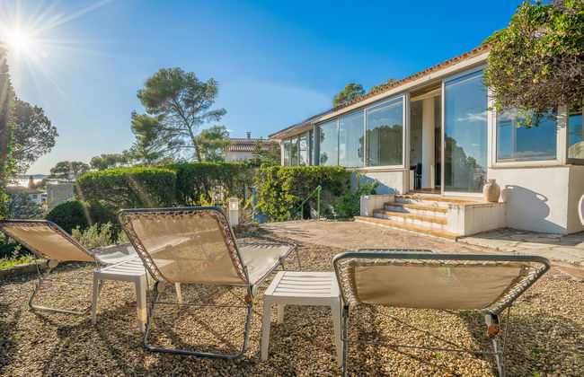 Pigeon Vole - Foto 30