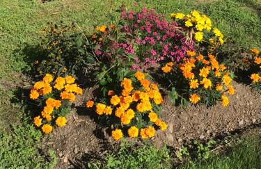 Vue du Gar - Foto 34