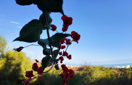 Apartalux Gold Oasis - Foto 32