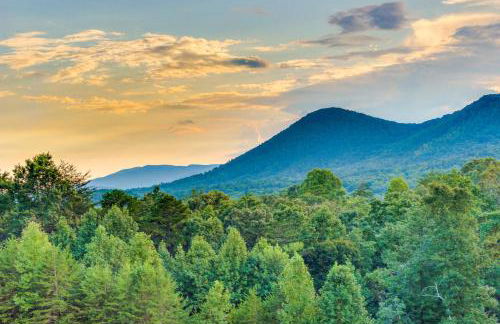 The Bears Den - Foto 31