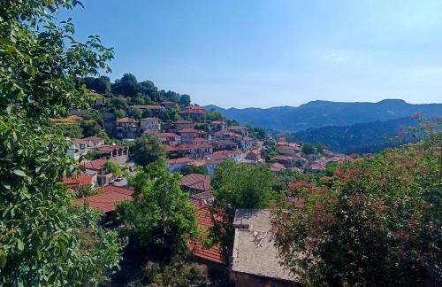 MELATO HOUSES - Photo 13