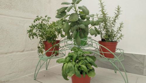 Case Vacanza Dimo Dimira - SALENTO & RELAX - Foto 1