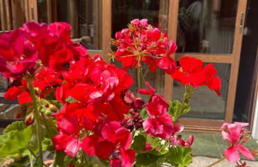 La Veranda nella Neve - Camigliatello Silano - Foto 4