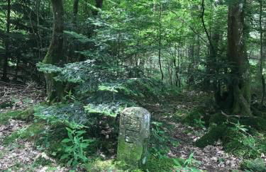 Schwalmala Logement calme au coeur du vignoble - Foto 23