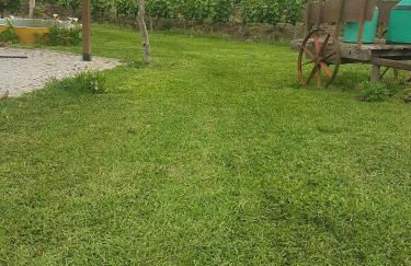 quinta vale da corga - Foto 14