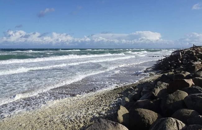 4 Person Holiday Home in Graested - Foto 43