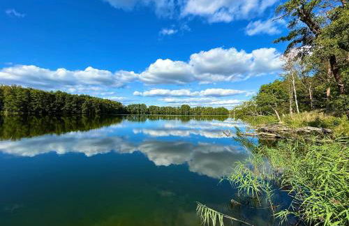 Haus 8 am Grimnitzsee mit Sauna - Photo 29