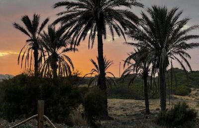 Apartment Cabrio - Gran Alacant - Foto 27