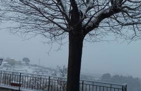 La Pietra Piana Casa Vacanze - Foto 4