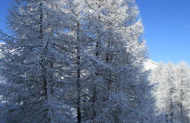 Duplex Familial à Vars, Chalets des Rennes - Foto 28