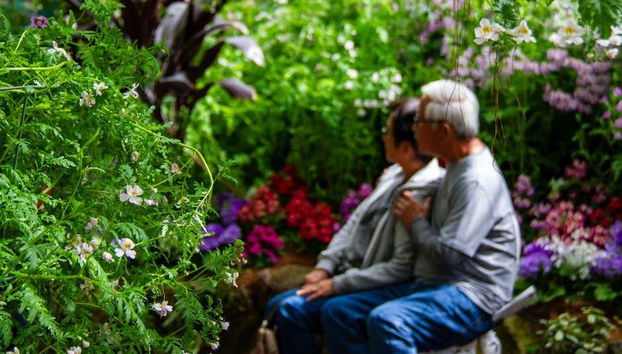 Visita guiada por Melbourne - Foto 3