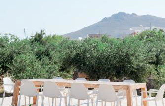 Bracket House Paros - Photo 26