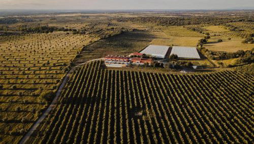 Casinhas de Santo António - Foto 5