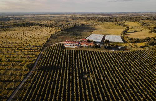 Casinhas de Santo António - Foto 5