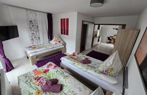 La Casa Suciu - Foto 37