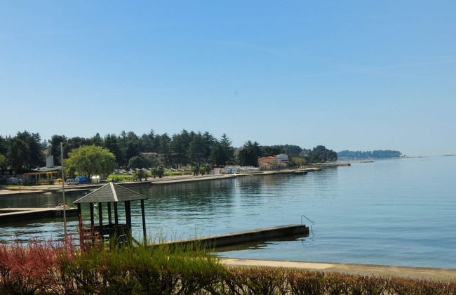 Spacious Holiday Home in Istria Croatia With Pool - Foto 24