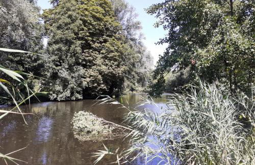 Kalbe Milde, Ferienwohnung Altmark - Foto 18