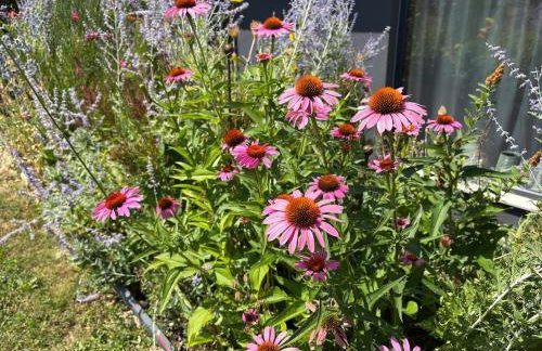 Vacation home, private pool & whirpool jacuzzi outhouse377 - Foto 25