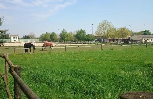 Apartment Apartment Laurence by Interhome - Foto 29