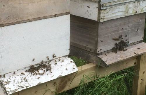 Islay View- Double Bed Apartment (NITB APPROVED) - Foto 18