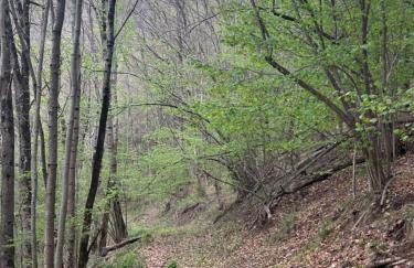 Casa Rural Pirineu Nevà - Foto 55