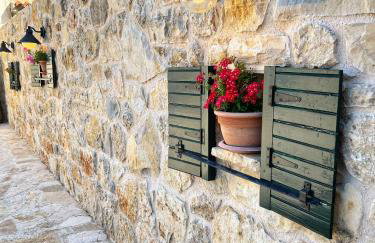 Apartments Mali Dvor Novigrad - Photo 6