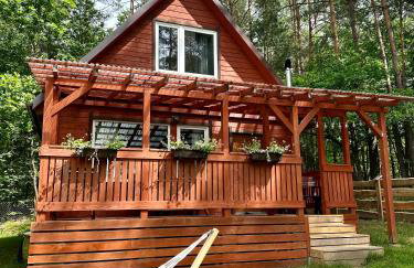 Gryfne Kaszuby - Foto 1