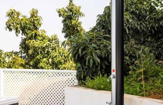 Las Ranas 2 - Foto 23