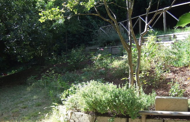 Agriturismo La Casa della Lavanda - Il Casale - Foto 26