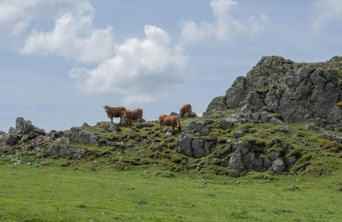 Chalet du Pradel - Photo 25